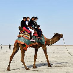 Rann of Kutch